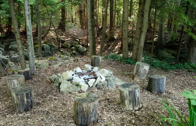 Cozy Cabin in the Forest - Foto 23