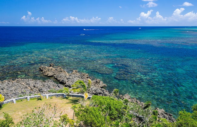 Yellow Bird - Foto 15