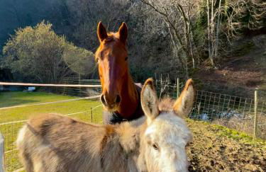 Agriturismo La Vecchia Chioderia - Foto 9