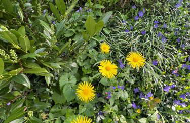 NEW Spacious House with large garden - Foto 66