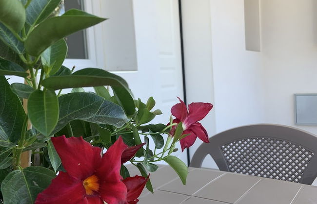 Aragon Cottage Appartament - Foto 44