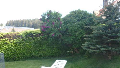 Haus Fehrenbach - Foto 4