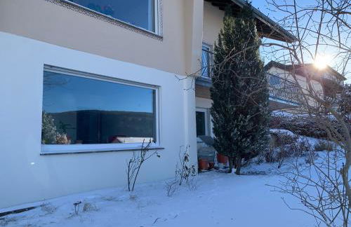 Lichtblick unter der Buche - Foto 14