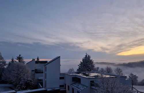 Sauna, Pools mit XXL-Terasse oder Kinderkino - Foto 65