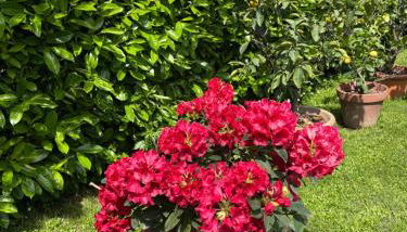 Monolocale La Mimosa - Foto 3