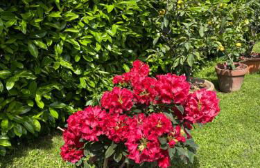 Monolocale La Mimosa - Foto 3