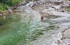 Very Nice Appartment for 4, Marilleva 900, Val di Sole - Foto 65