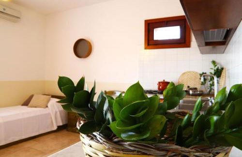 Azienda Agricola Francesca Stajano - Foto 60