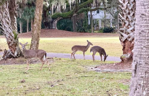 Boutique Coastal Retreat - Foto 22