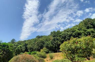 Il Casolare Val Di Mare - Foto 44