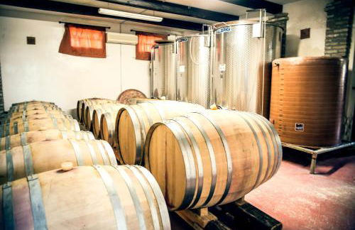 Tenuta Santini - Foto 35