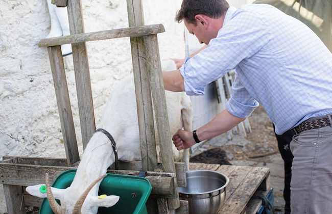 Cardross Estate Holiday Cottages - Foto 77