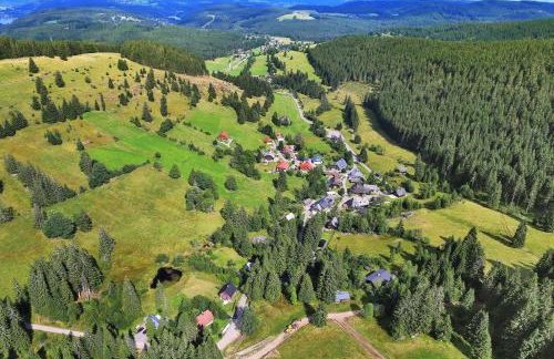 Schwarzwald-Hotel Kraeutle - Foto 26