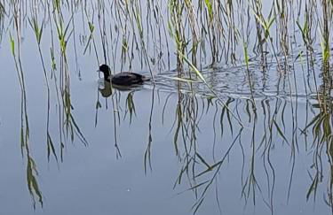 Fiori e farfalle apartment - Foto 5