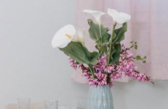 Village House In An Olive Grove! - Foto 22