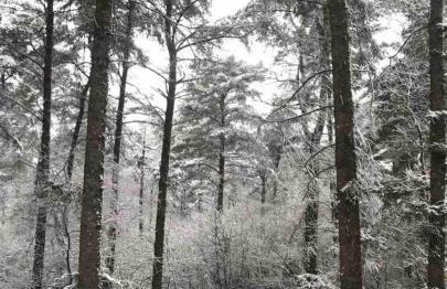 Lodge with log burner Contractors business private parking free Wi-Fi near M4 - Foto 9