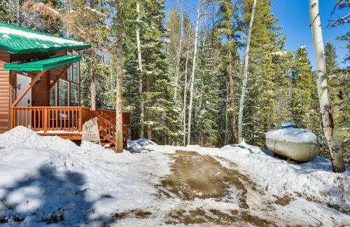 Idaho Springs Cabin with Hot Tub on Half Acre! - Foto 36