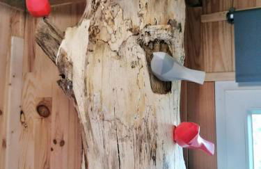 Le nid dans le chêne - Photo 18