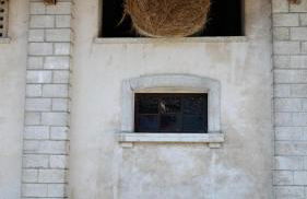 Agriturismo Villa di Modolo - Cortile della Latteria - Foto 49