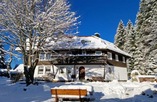 Altes Zollhüsli - Foto 12