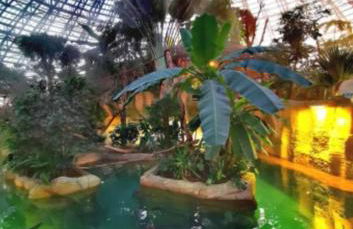 Villa poupa - Foto 7