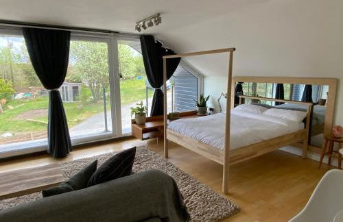 Little Chi - Photo 8