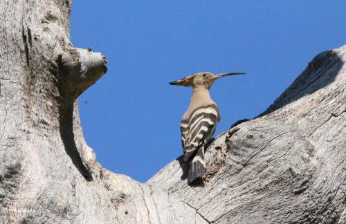 Agriturismo Valdifiori - Foto 38