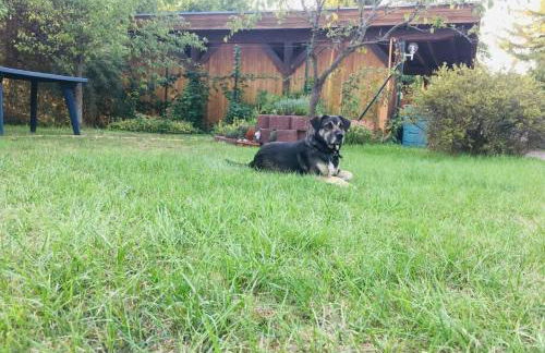 Ferienhaus mit Seeblick - Photo 21