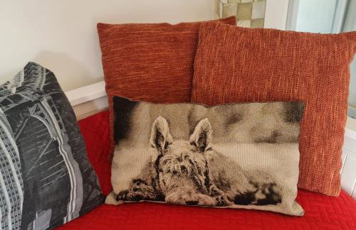 West Street Studios, Free WIFI, FREE Parking, Washer dryer - Foto 13