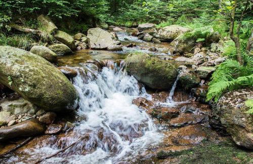 Modernes Ferienhaus im Harz Nähe Wernigerode - Foto 32