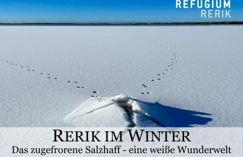 REFUGIUM RERIK -- 5 DTV-Sterne, strandnah, modern und lichtdurchflutet, Sonnenbalkon -- - Foto 64