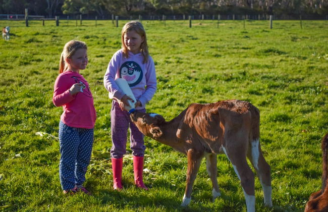 Freshwater Creek Cottages and Farm Stay - Foto 78