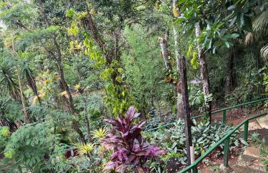 Chales Amanhecer e Entardecer em Meio a Natureza - Foto 2