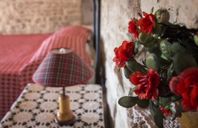 Masseria Citulo - Il Pino Grande - Foto 13