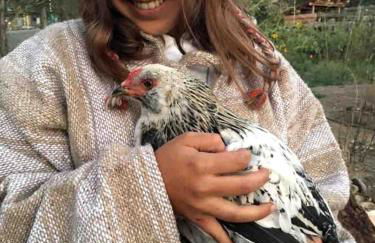 Log Casita Overlooking Pond and Waterfall near Taos, New Mexico - Foto 42