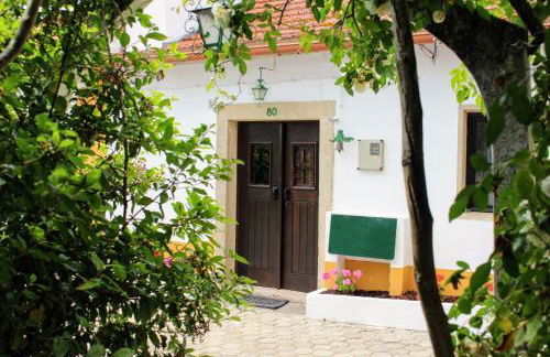 Quinta da Ti Júlia - Foto 21