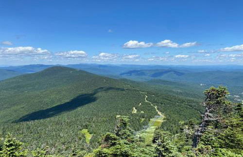 TymeoffVT cabin in the woods - Hot Tub , EV chg - Foto 28