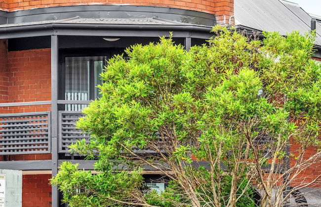 Spring Hill Inn - Foto 44