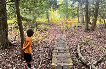 Amherst Woodland Escape - Foto 29