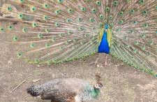 Greystones nawab 2 units b and c sleeps upto 12, in buxton in peak park - Foto 11