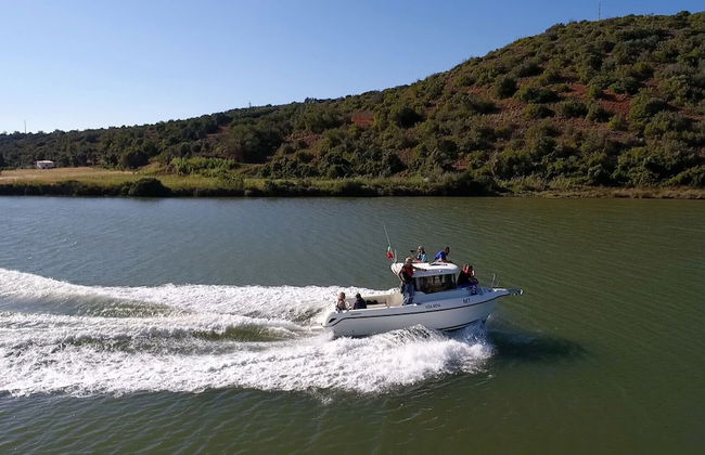 Townhouse Kauai - Foto 50