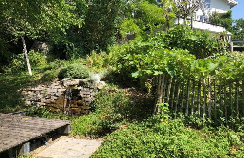 Apartment Green Elephant - Foto 25