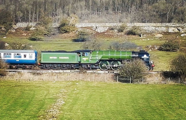 Wensleydale Glamping Pods - Foto 33