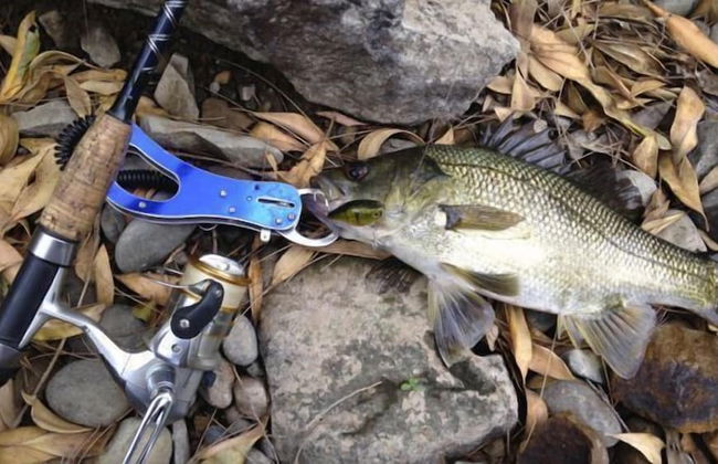 Barrington Hideaway- River Cottages - Photo 17