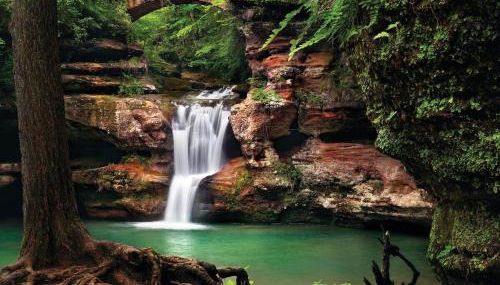 Burton Ridge Cabin - Foto 5