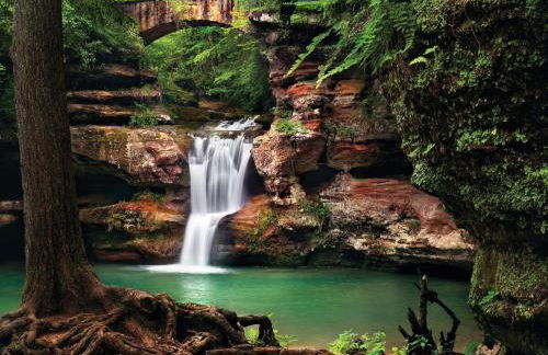 Burton Ridge Cabin - Foto 5