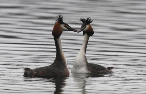 Sunbeach Chalets - Foto 31