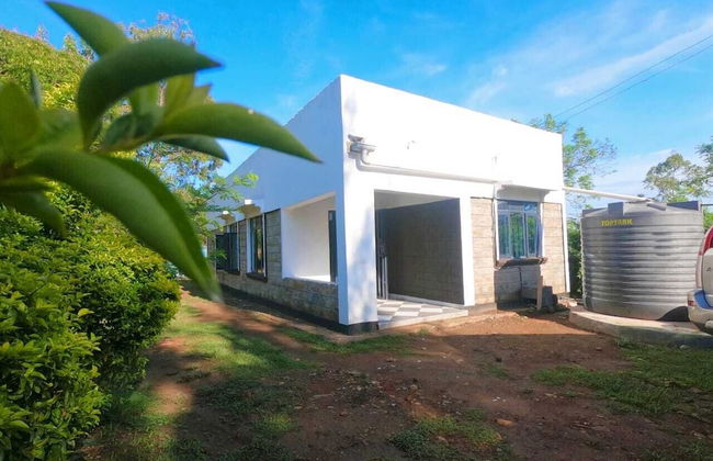 Cosmos Masawa - Foto 1