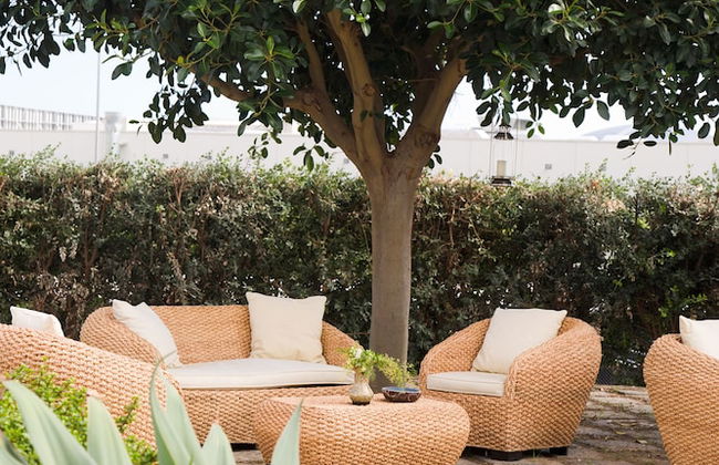 Orange Park - Photo 37