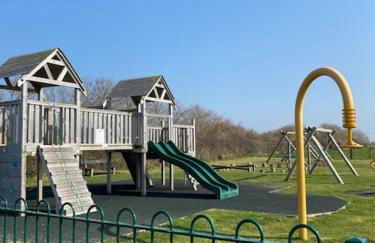 Brambles chine - Photo 13